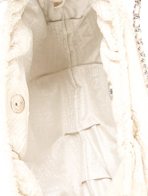 Chanel Python CC Shoulder Bag