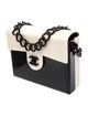 Chanel Plexi Coco Flap Bag