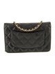 Chanel Classic Quilted Wallet On Chain