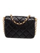 Chanel Quilted CC Coin Flap Bag