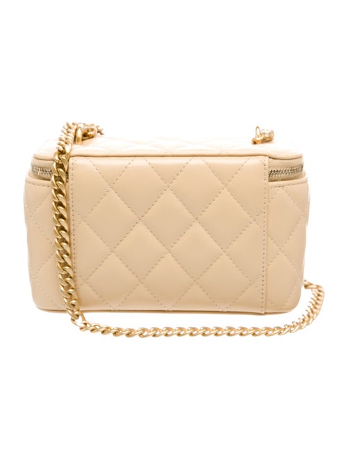 Chanel Small Pillow Crush Vanity Case