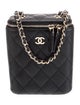 Chanel Quilted Caviar Small Coco Beauty Vanity Case