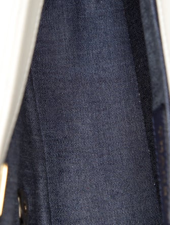 Chanel Medium Elegant Chain Flap Bag