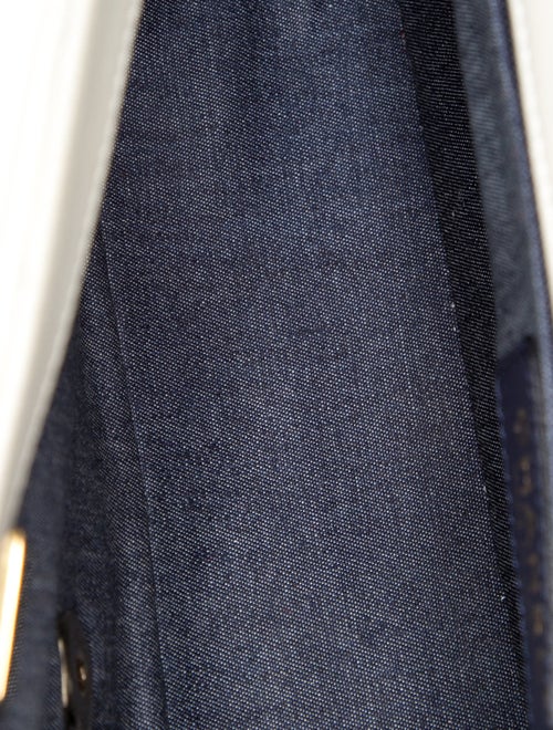 Chanel Medium Elegant Chain Flap Bag