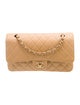 Chanel Classic Medium Double Flap Bag