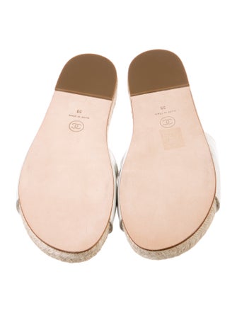 Chanel 2019 Interlocking CC Logo Espadrilles