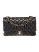 Chanel Classic Medium Double Flap Bag