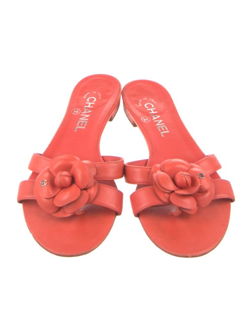 Chanel 2014 Interlocking CC Logo Slides