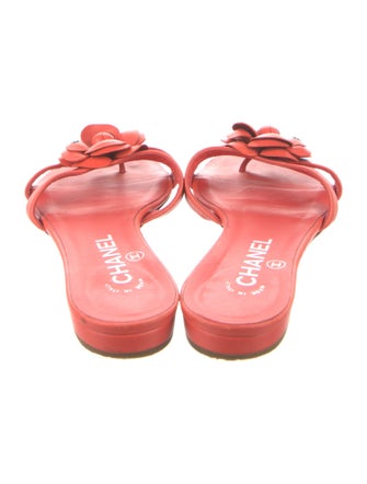 Chanel 2014 Interlocking CC Logo Slides