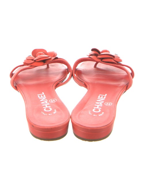 Chanel 2014 Interlocking CC Logo Slides