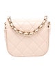 Chanel Classic Mini Clutch w/ Chain