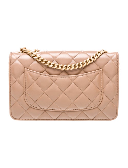 Chanel Pillow Crush Wallet On Chain