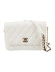 Chanel Quilted Side-Packs