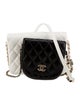 Chanel Quilted Side-Packs