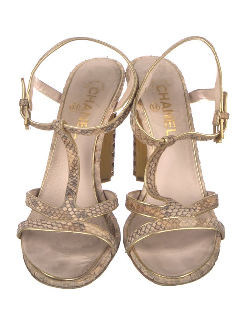 Chanel Interlocking CC Logo Python