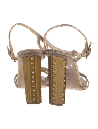 Chanel Interlocking CC Logo Python