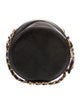 Chanel Chic Pearls Round Clutch w/ Chain