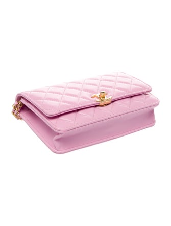 Chanel Secret CC Wallet On Chain