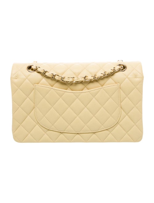 Chanel Classic Medium Double Flap Bag