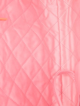 Chanel Small 22 Hobo