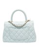 Chanel Mini Coco Handle Flap Bag