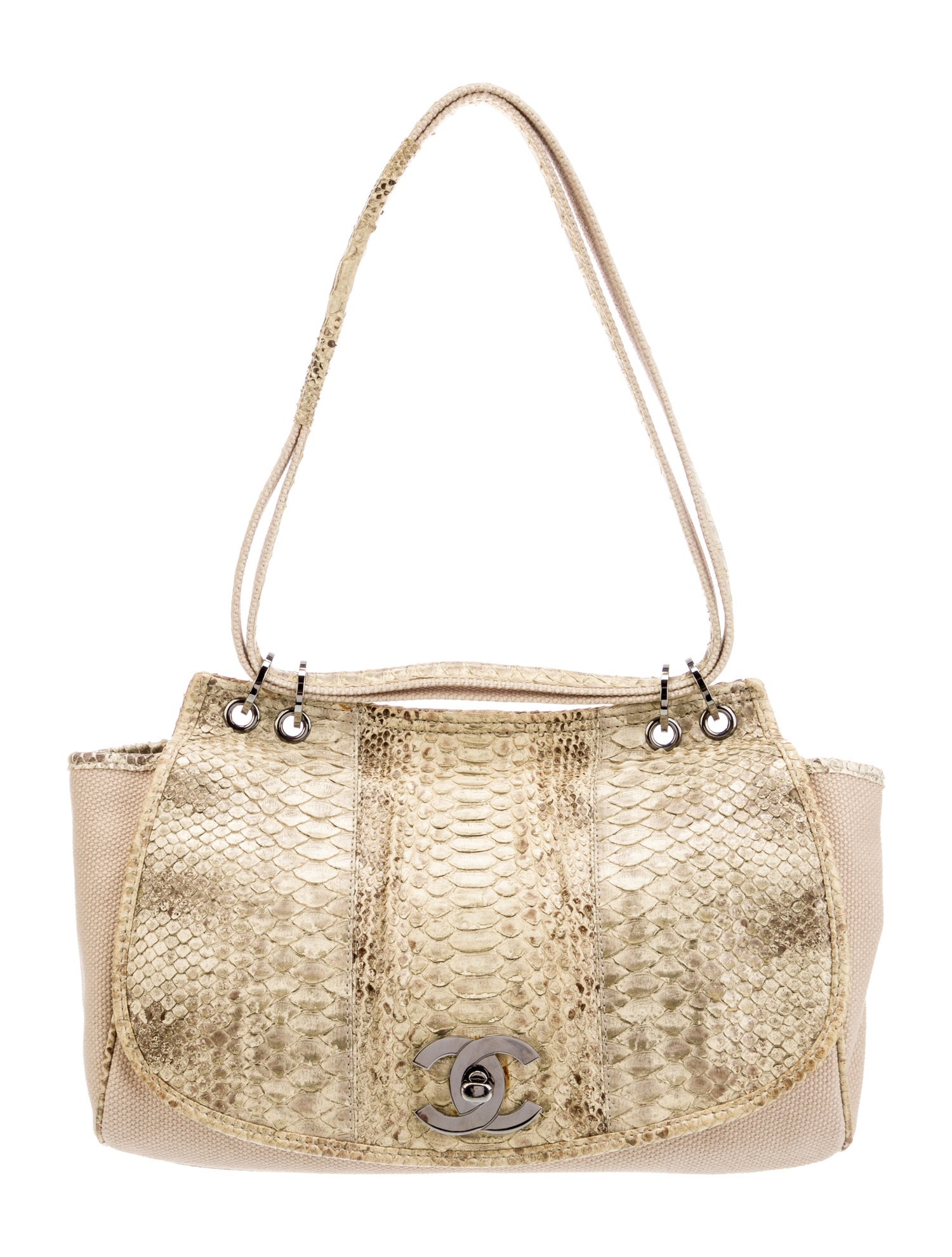 Chanel Python-Trimmed Flap Bag