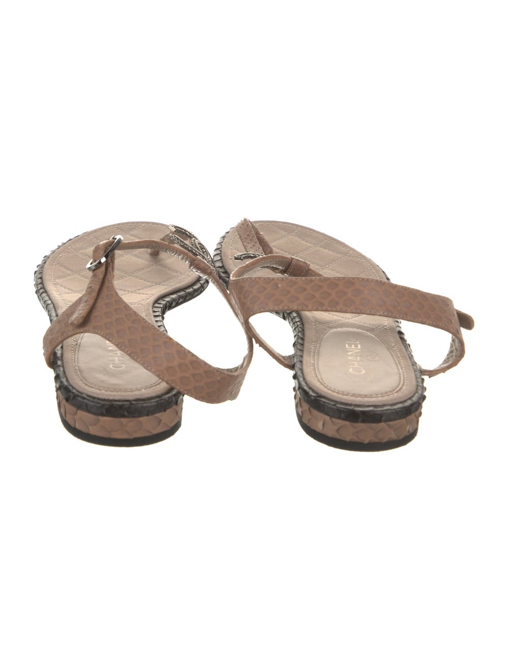Chanel Python T-Strap Sandals Neutrals Interlocki… - image 4