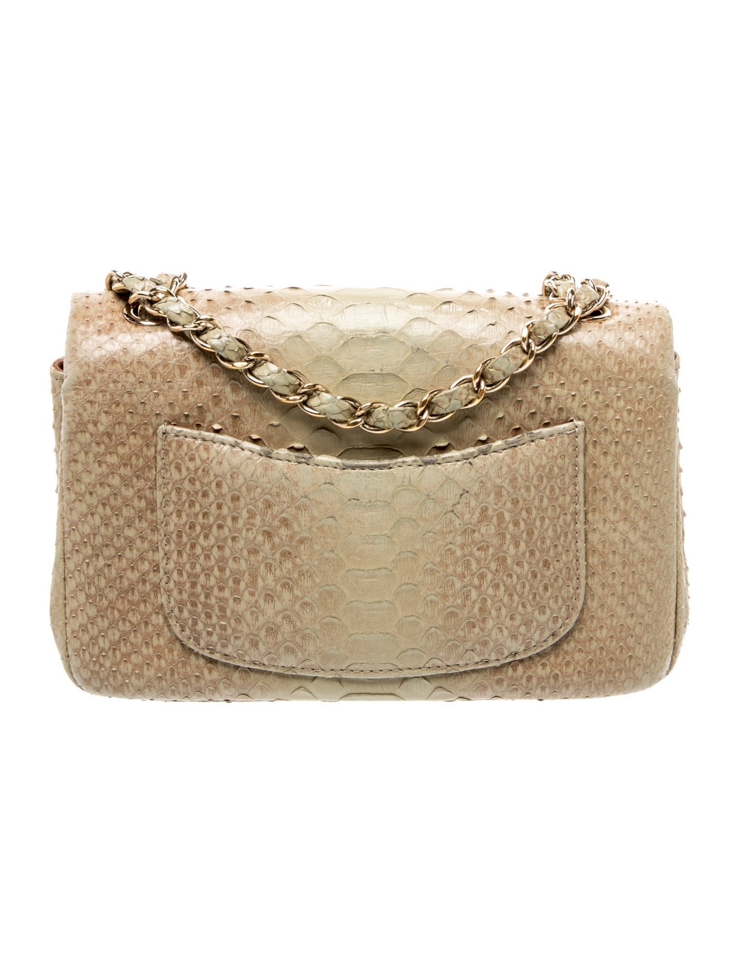 Python Rectangular Mini Flap Bag