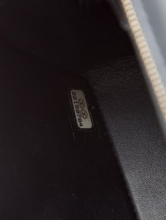 Chanel 2016 Python Classic Mini Flap Bag