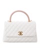 Chanel 2019 Medium Lizard-Trimmed Coco Handle Bag