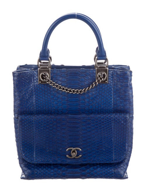 Chanel Python Handle Backpack