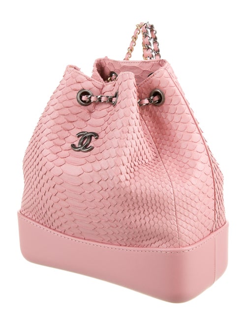 Chanel 2018 Python Gabrielle Bucket Backpack