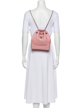 Chanel 2018 Python Gabrielle Bucket Backpack