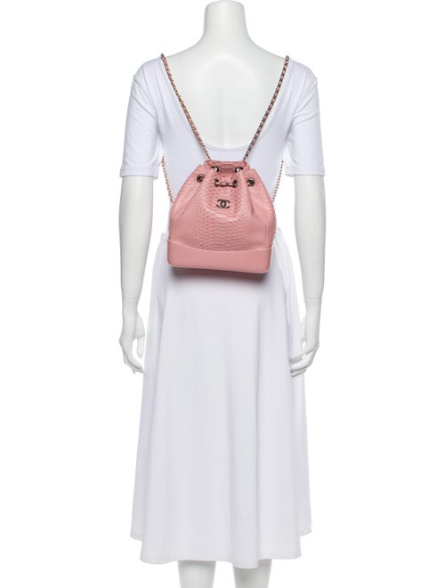 Chanel 2018 Python Gabrielle Bucket Backpack