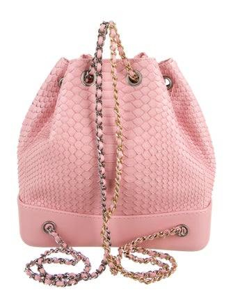 Chanel 2018 Python Gabrielle Bucket Backpack