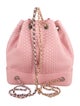 Chanel 2018 Python Gabrielle Bucket Backpack