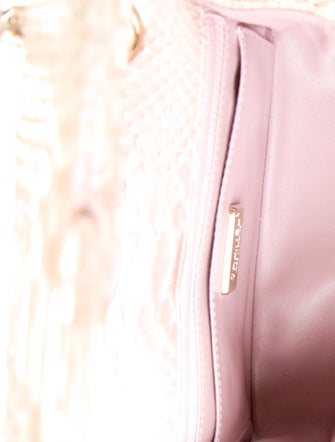 Chanel Mini Python Flap Bag