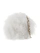 Chanel 2019 Feather Round Clutch w/ Chain