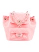 Chanel 2022 Small Duma Backpack