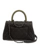 Chanel Lizard-Trimmed Mini Coco Handle Bag