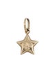Charm 14K Smiling Star Charm