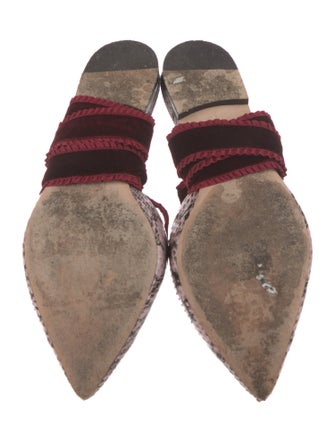 Chloé Gosselin Snakeskin Animal Print Mules