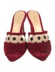 Chloé Gosselin Velvet Polka Dot Print Mules