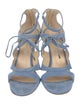Chloé Gosselin Suede Cutout Accent Sandals