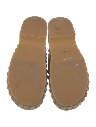 Chloé Suede Mules