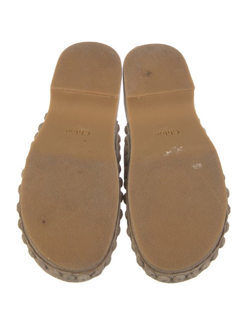 Chloé Suede Mules