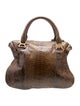 Chloé large Python Marcie Bag