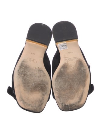 Chloé Suede Slides