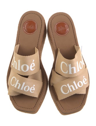 Chloé Nylon Printed Espadrilles