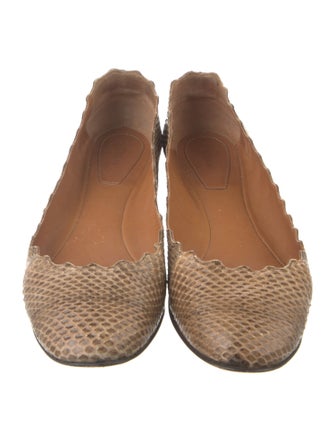 Chloé Snakeskin Scalloped Accent Ballet Flats